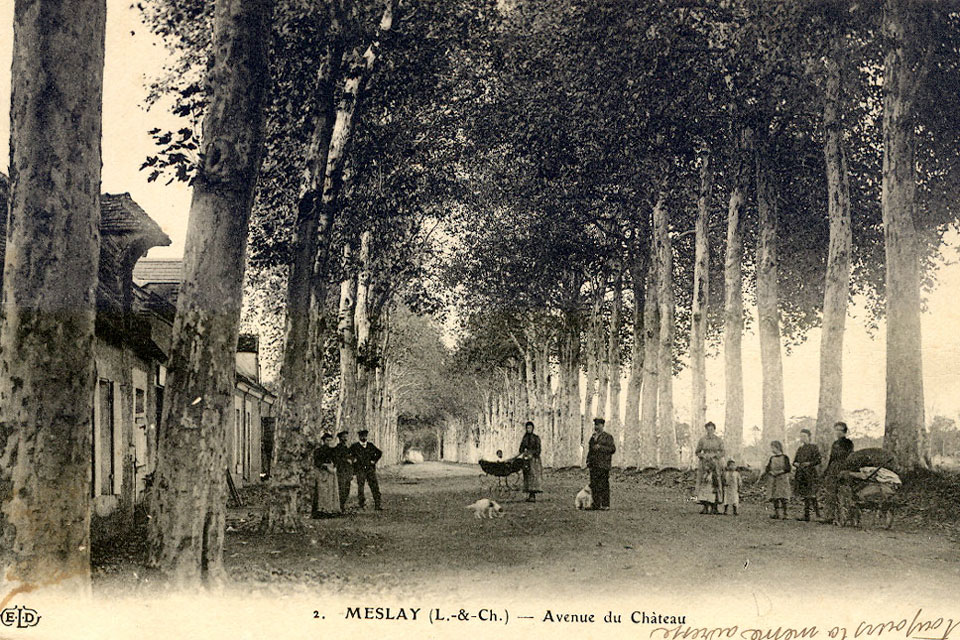 carte postale ancienne de l'allée de platanes jusqu'au chateau